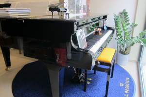 Grand piano C.BECHSTEIN, model M