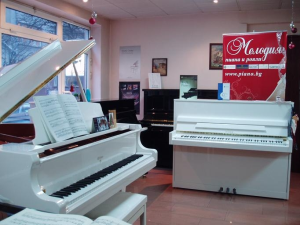 Piano shop Melodia - 2010.