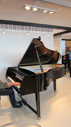 Designer models piano - SAUTER. Only with us you can order a last hit designer patterns piano.