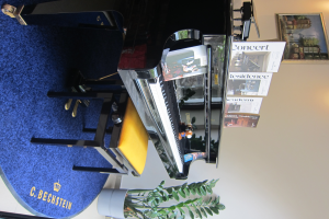 Grand piano C.BECHSTEIN, model M