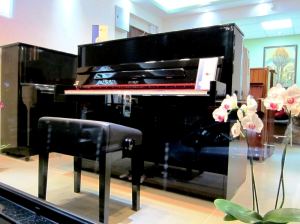 Brand new European pianos available. PETROFF, C.BECHSTEIN, W.HOFFMANN, ZIMMERMANN, ED.SEILER and others.