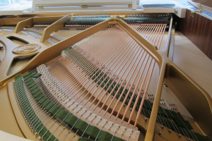Future is here! C.Bechstein Connect - Create — Share — Connect