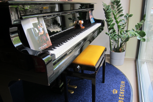 Grand piano C.BECHSTEIN, model M